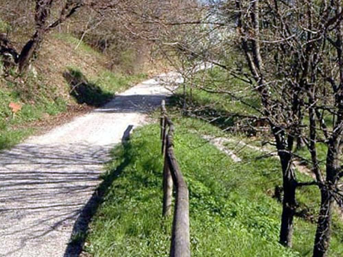 parco dei colli bergamo foto